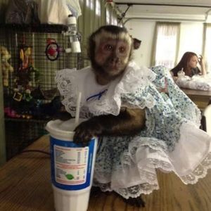 Meet your Posher, Nancy