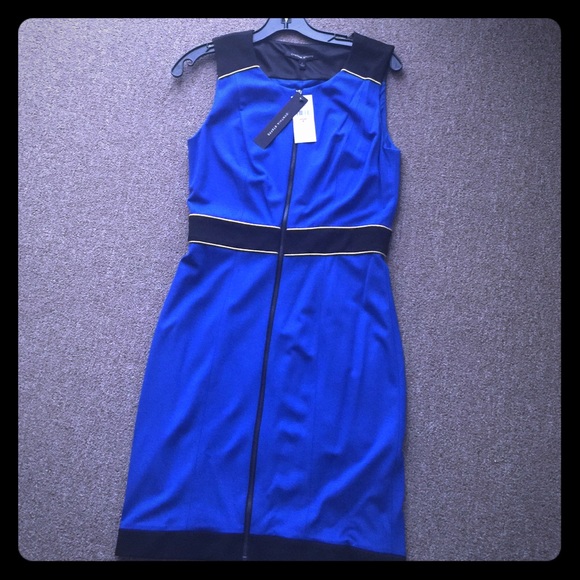 Brand new Cynthia Steffe dress