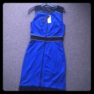 Brand new Cynthia Steffe dress