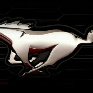 Meet your Posher, Charlie