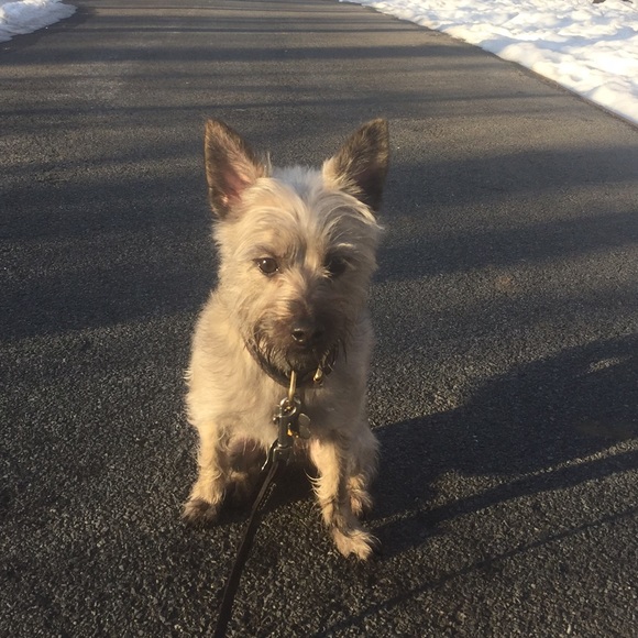 Meet your Posher, Lorraine