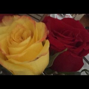 Meet your Posher, Fernanda