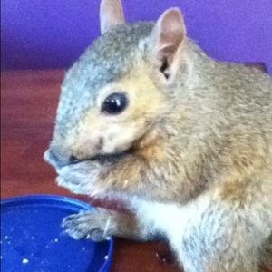 Meet your Posher, Kami