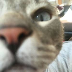 Meet your Posher, Nancy