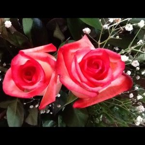 Meet your Posher, Connie