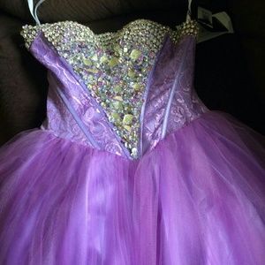 Terani Couture Purple Prom Dress size 2!