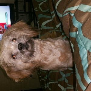 Meet your Posher, Carol