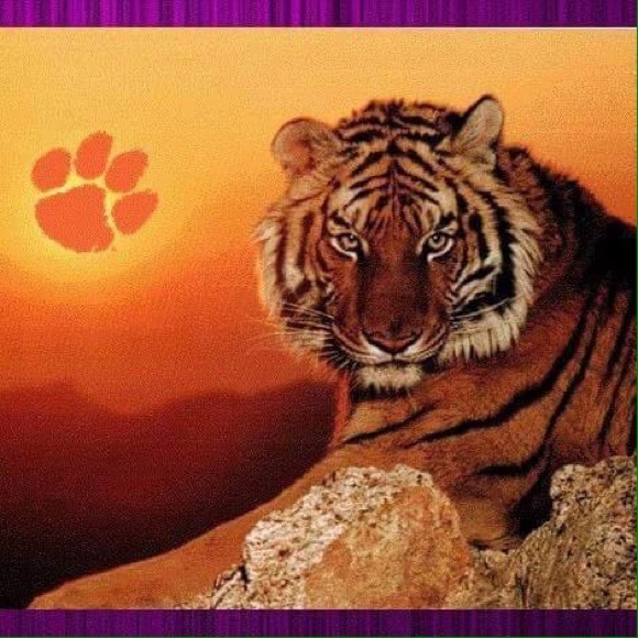 Meet your Posher, Lynn - Picture 1 of 1