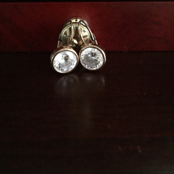 Michael Kors Rose Gold Lever Back earrings