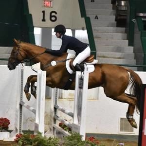 Meet your Posher, Caitlin