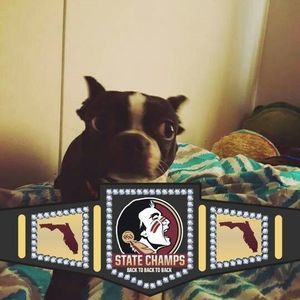 Meet your Posher, Barbara