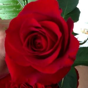 Meet your Posher, Dayana