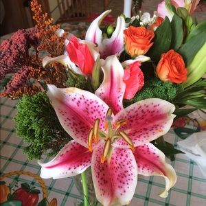 Meet your Posher, Karla