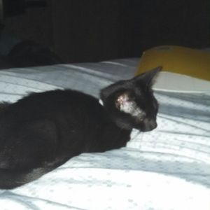 Meet your Posher, Sabrina