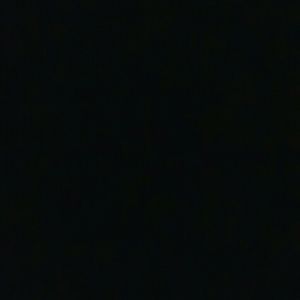 Meet your Posher, Lionel