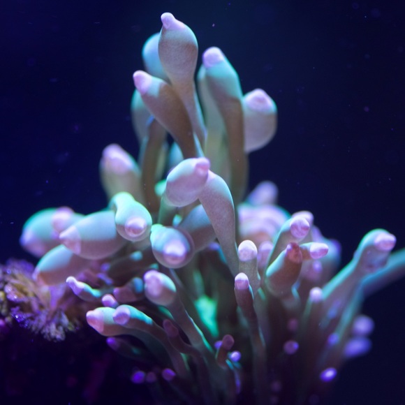 Meet your Posher, Aaron