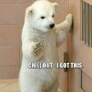 Meet your Posher, Deanna