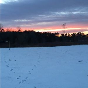 Meet your Posher, Cheyenne