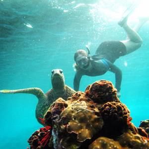 Meet your Posher, Mandy