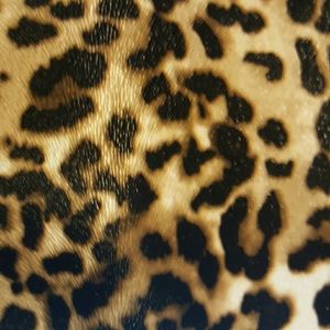 Meet your Posher, Teri