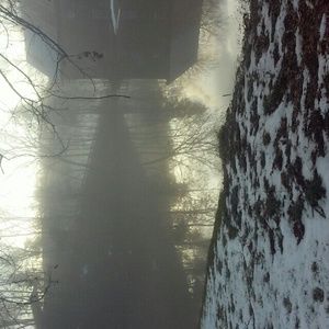 Meet your Posher, Darlene