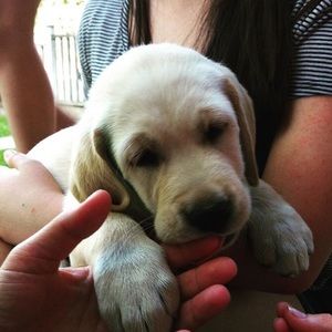 Meet your Posher, Carson