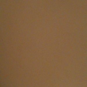 Meet your Posher, Rose