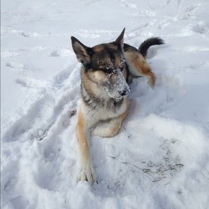 Meet your Posher, Hannah