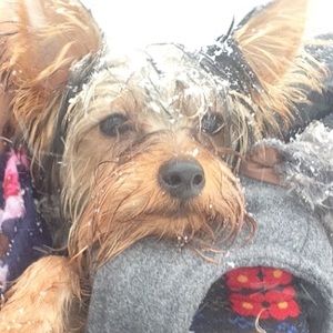 Meet your Posher, Narbada