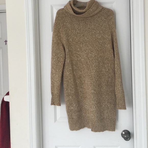 Turtle neck sweater dress