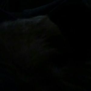 Meet your Posher, Whitney