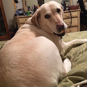 Meet your Posher, Shannon