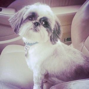 Meet your Posher, Doris