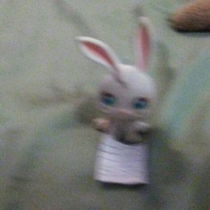 Meet your Posher, Sheryl