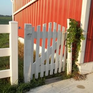 Meet your Posher, Ruth