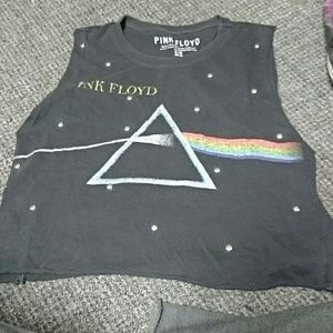 Pink Floyd muscle crop