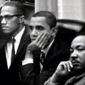 Meet your Posher, Audrey