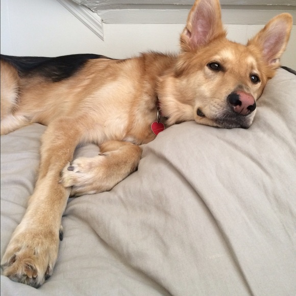 Meet your Posher, Vanessa - Picture 2 of 2