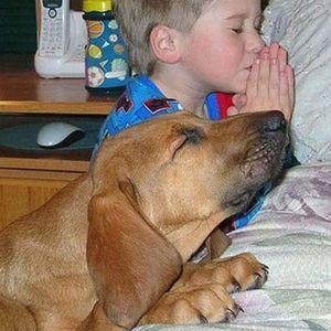 Meet your Posher, Barb