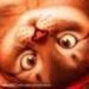 Meet your Posher, Kori