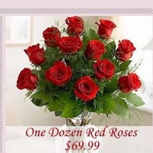 Meet your Posher, Ana