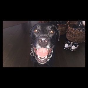 Meet your Posher, Jazzy