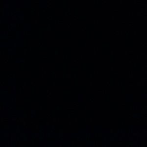 Meet your Posher, Josie