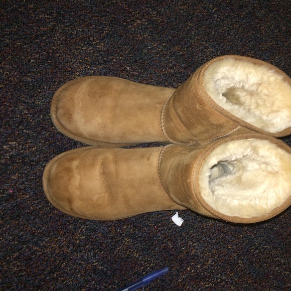Classic Brown Uggs