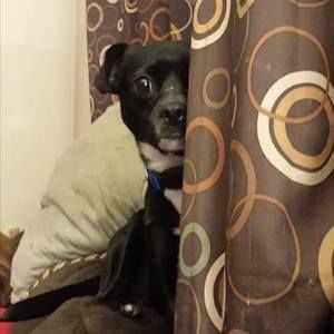 Meet your Posher, Mark