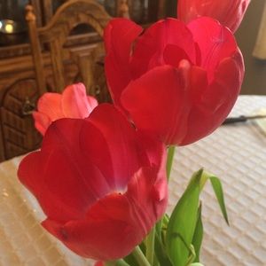 Meet your Posher, Kelly