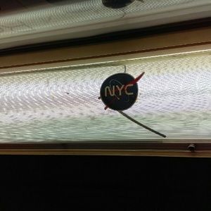 Meet your Posher, Maia