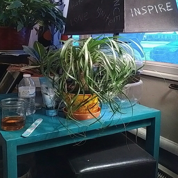 Meet your Posher, Jessica - Picture 1 of 1