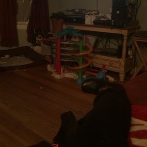 Meet your Posher, Patty