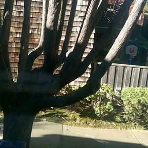 Meet your Posher, Isa